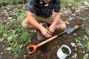 La Fortuna: Medicinal Plant Tour & Tea-Making Class