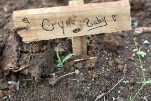 La Fortuna: Medicinal Plant Tour & Tea-Making Class