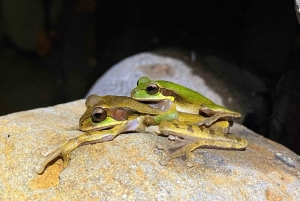 La Fortuna: Medicinal Plant Tour & Tea-Making Class