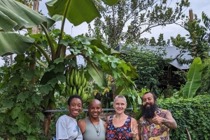 La Fortuna : visite du jardin de plantes médicinales et de sagesse ancestrale