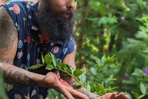 La Fortuna : visite du jardin de plantes médicinales et de sagesse ancestrale