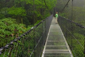 La Fortuna: Místico Arenal riippusillat Pääsylippu