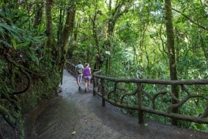 La Fortuna: Adgangsbillett til hengebroene i Místico Arenal