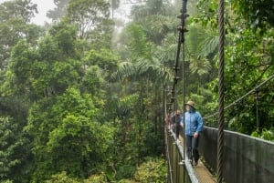 La Fortuna: Místico Arenal riippusillat Pääsylippu