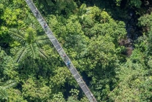 La Fortuna: Ticket de entrada a los Puentes Colgantes del Arenal Místico