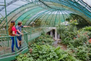 La Fortuna: Natura Eco Park Plus Ingresso e tour guiado
