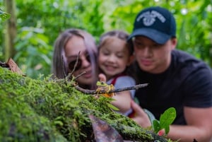La Fortuna: Natura Eco Park Plus Ingresso e tour guiado