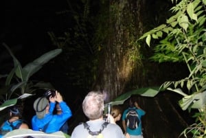 La Fortuna: Nattvandring i tropisk skog med natur och vilda djur
