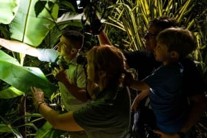 La Fortuna: Nature & Wildlife Night Tour in Tropical Forest