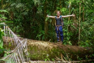 La Fortuna: Tour nocturno de naturaleza y vida salvaje en la selva tropical