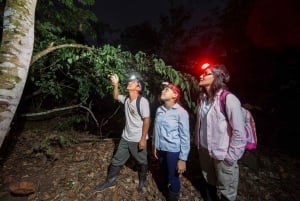La Fortuna: Tour noturno pela natureza e vida selvagem na floresta tropical