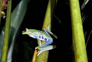 La Fortuna: Night Experience at Eden Organic Farm