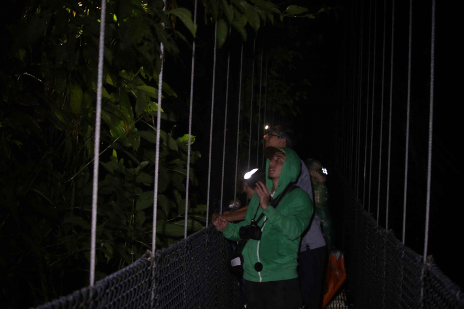 La Fortuna: Nattlig vandring i Arenals regnskog