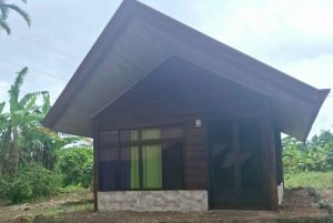 Nocny spacer po lesie deszczowym La Fortuna o wysokiej bioróżnorodności