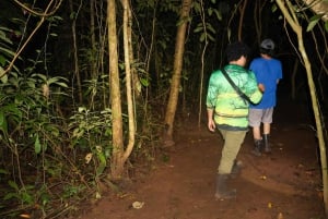 La Fortuna: Night Hike with Guide