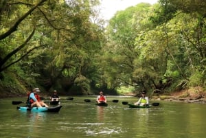 La Fortuna: excursión en kayak por el río Peñas Blancas con brunch