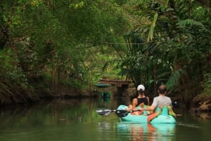 La Fortuna: excursión en kayak por el río Peñas Blancas con brunch