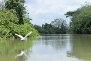 La Fortuna: Peñas Blancas River Safari Floß