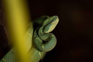 La Fortuna: tour fotografico al Natura Eco Park
