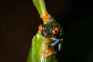 La Fortuna: tour fotografico al Natura Eco Park