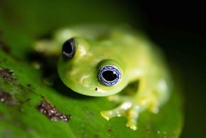 La Fortuna: tour fotografico al Natura Eco Park
