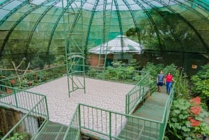 La Fortuna: tour fotografico al Natura Eco Park