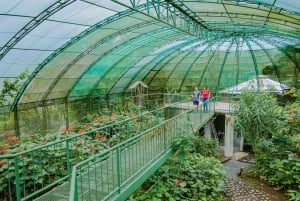 La Fortuna: tour fotografico al Natura Eco Park