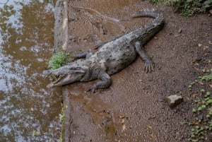 La Fortuna: tour fotografico al Natura Eco Park
