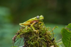 La Fortuna: tour fotografico al Natura Eco Park