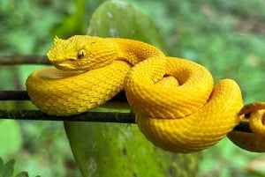 La Fortuna: Privétour Arenal Vulkaan