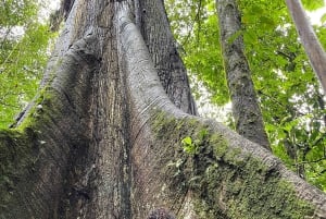 La Fortuna: Privétour Arenal Vulkaan