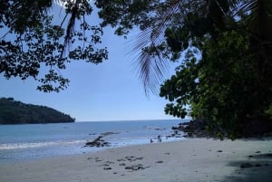 La Fortuna: Privétransfer naar Manuel Antonio & Krokodillen