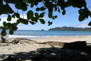 La Fortuna: Privétransfer naar Manuel Antonio & Krokodillen