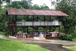 La Fortuna: lezione privata di yoga su una piattaforma sul fiume nella foresta pluviale