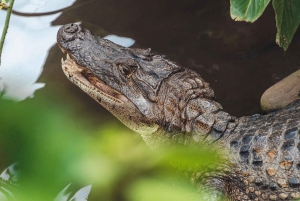 La Fortuna: Proyecto Asis Wildlife Sanctuary-tur