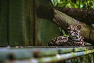 La Fortuna: Proyecto Asis Wildlife Sanctuary-tur