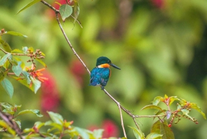 La Fortuna: Proyecto Asis Wildlife Sanctuary-tur