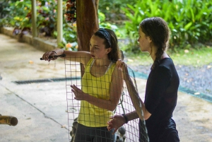 La Fortuna: Proyecto Asis Wildlife och volontärtur