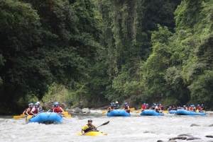 La Fortuna: Rafting Pacuare y Traslado a SJO o Puerto Viejo