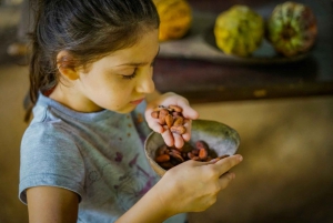 La Fortuna: Chocolade tour door het regenwoud