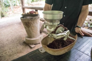 La Fortuna: Tour de chocolate na floresta tropical