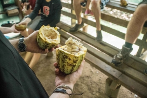 La Fortuna : Excursion au chocolat dans la forêt tropicale