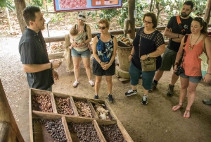 La Fortuna: Sjokoladetur i regnskogen