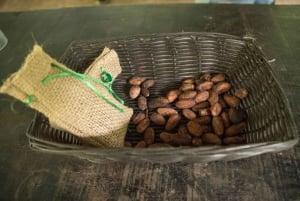 La Fortuna: Chokoladetur i regnskoven