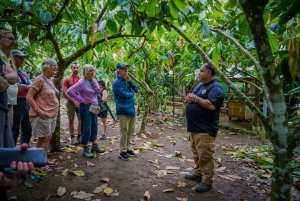 La Fortuna: Chokoladetur i regnskoven