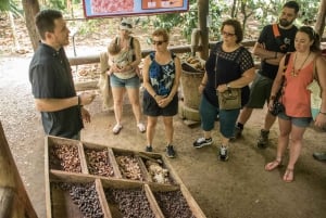 La Fortuna: Rainforest Chocolate Tour