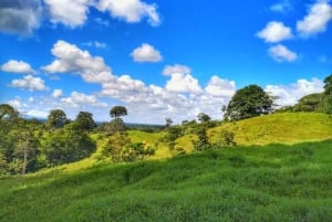 La Fortuna: Caminhada guiada pela natureza da floresta tropical