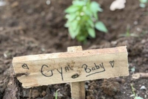 La Fortuna: Caminhada de reflorestação e passeio de plantação de árvores