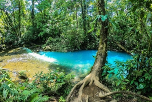 La Fortuna: Rio Celeste Full Day Tour