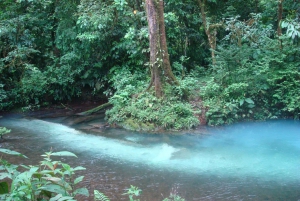 La Fortuna: wycieczka do Rio Celeste i farma Dona Alexisa